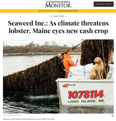 CHRISTIAN SCIENCE MONITOR | SEAWEED INC.: AS CLIMATE THREATENS LOBSTER, MAINE EYES NEW CASH CROP