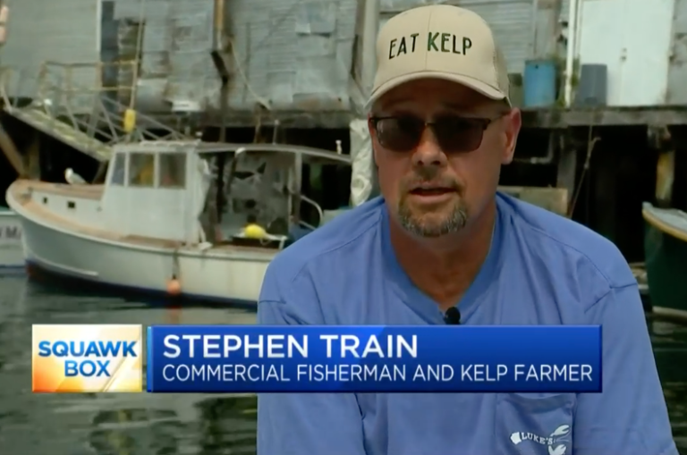 CNBC: Lobster fishermen become seaweed farmers as Maine waters warmCNBC: